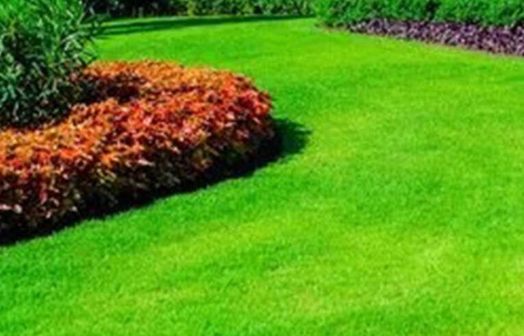 Landscaping Services Melbourne | Sura Landscaping & Home improvement
