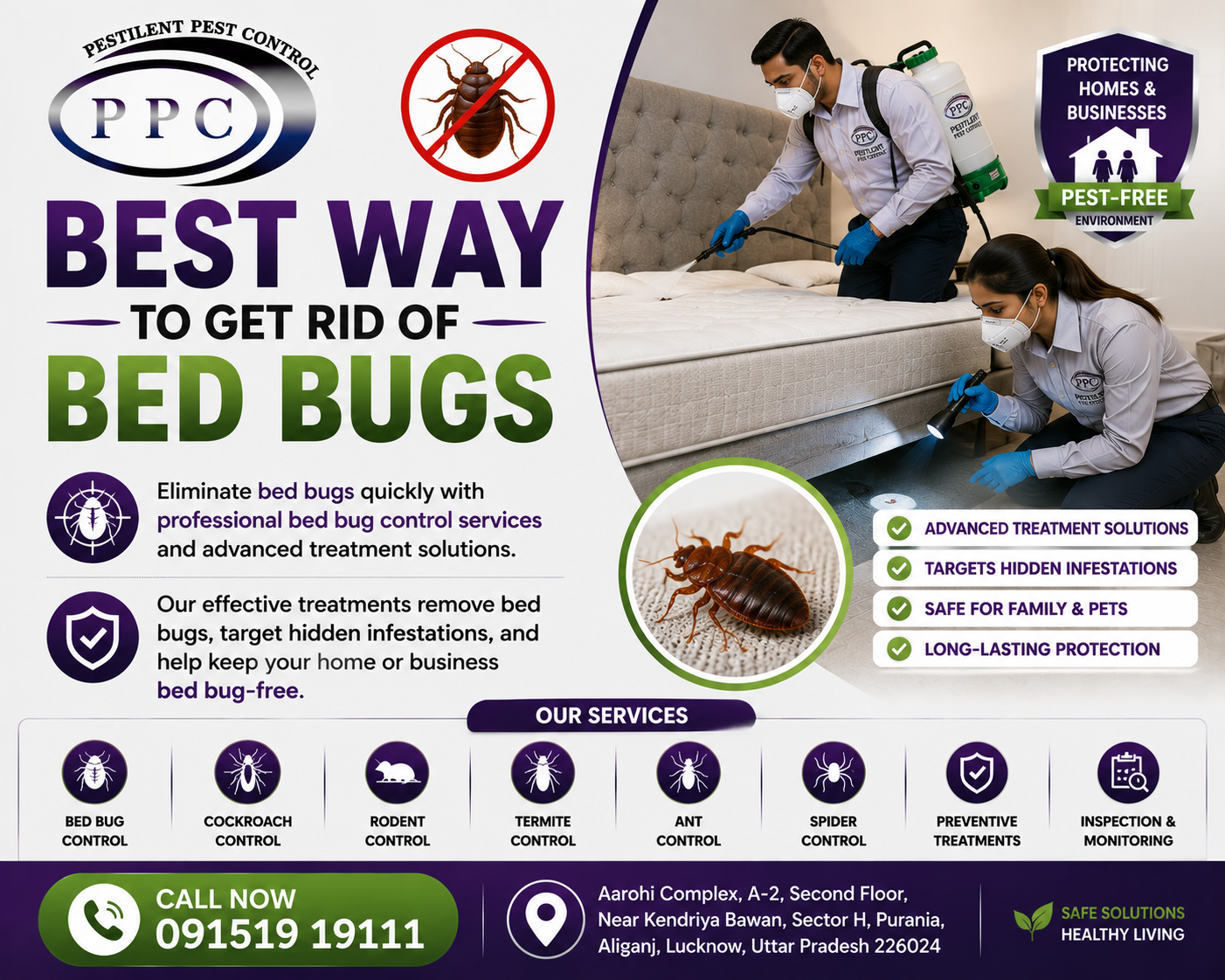 Professional Pest Control Services in Lucknow – Protect Your Home & Business
