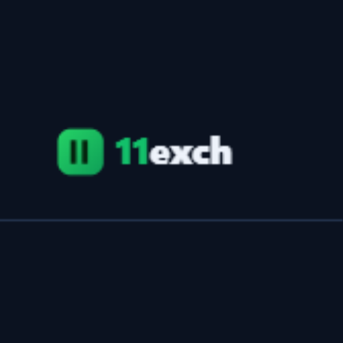 11exch Complete Platform Guide for New and Existing Users