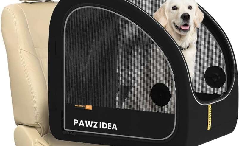 Complete Guide to Outdoor Adventures with a Dog Backpack Carrier