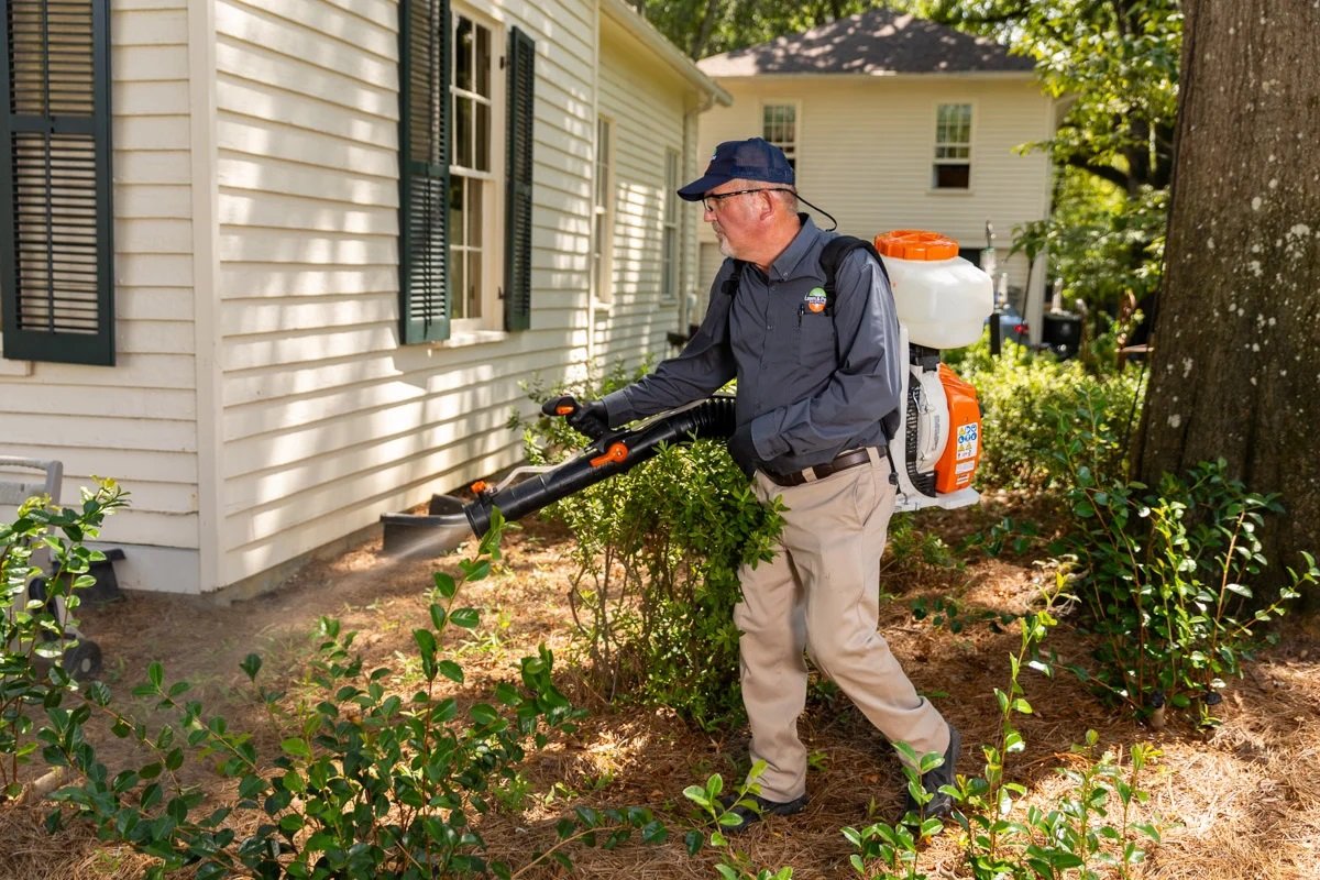 Effective Mosquito Management for Staten Island Homes and Businesses