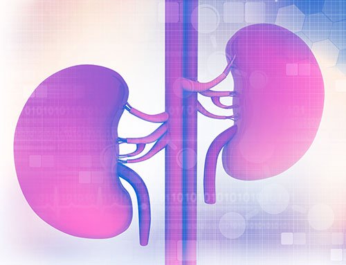 Can Indian Diet and Lifestyle Increase Kidney Stone Risk? What You Should Know