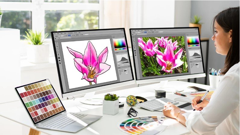 Expert Vector Design Services for Better Graphics