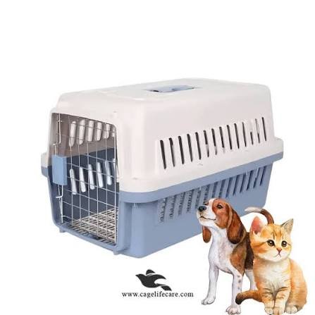 Comprehensive Practical Guide: Finding the Right Medium Dog Carrier for Every Voyage