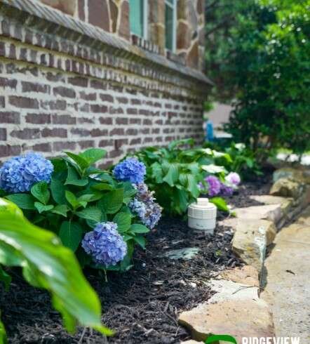 Ridgeview Landscape Explains How Smart Landscape Improvements Can Enhance Outdoor Living in Mansfield